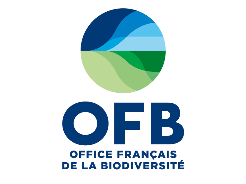logo ofb actualite